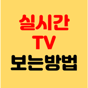 Read more about the article 컴퓨터로 무료 실시간 tv 보기 방법